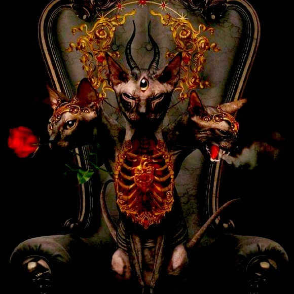 Meet your Posher, Earlene💫 - Picture 1 of 1